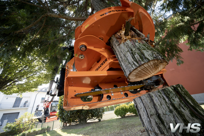 PRUNING GRAPPLE SAW